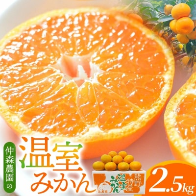 【2026年7月以降配送】仲森農園の「温室みかん」(2.5kg)