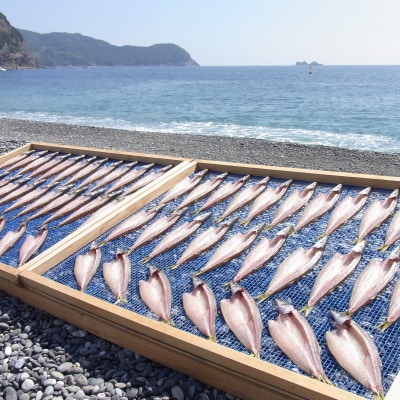 海の恵み　干物詰め合わせA
