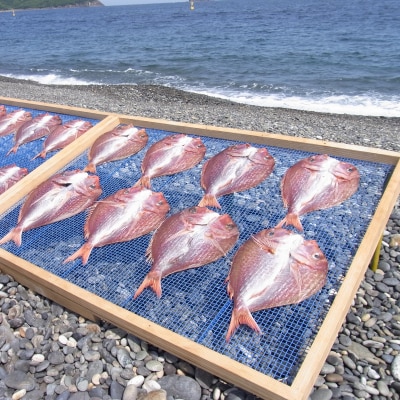 海の恵み　干物詰め合わせB