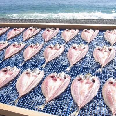 海の恵み　干物詰め合わせC(3回発送)