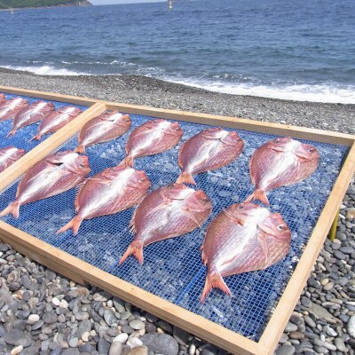 海の恵み　干物詰め合わせD(3回発送)