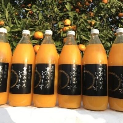 仲森農園の【甘熟みかんじゅーす】(6本)