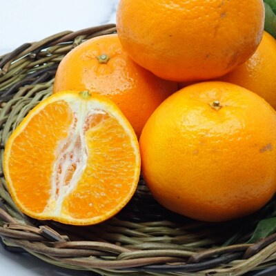 1自然塾　季節の柑橘詰合せ【1回】