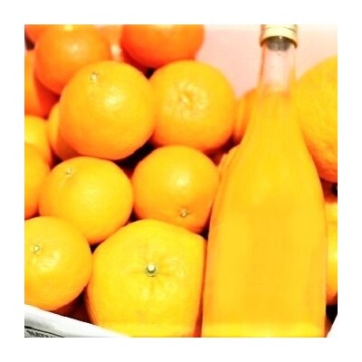 4自然塾　みかん&まるごと果汁詰合せ【1回】