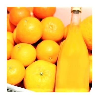 5自然塾　みかん&まるごと果汁詰合せ【定期便3回】