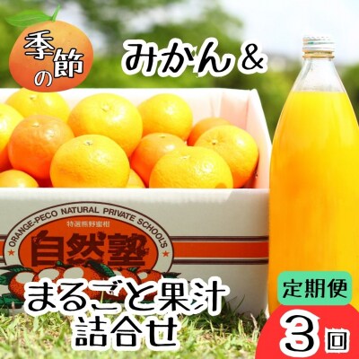 5自然塾　みかん&まるごと果汁詰合せ【定期便3回】