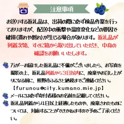 【2026年9月頃から発送予定】冷凍ブルーベリー　2kg