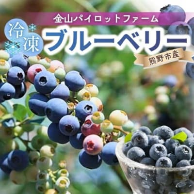 【2026年9月頃から順次発送予定】冷凍ブルーベリー　1kg
