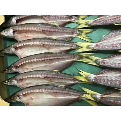 ひもの詰め合わせ　しあわせセット