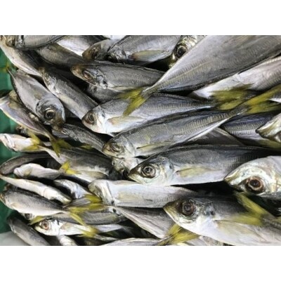 ひもの詰め合わせ　しあわせセット