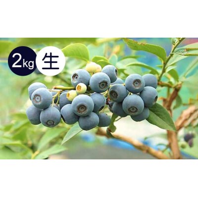 生果ブルーベリー　2Kg