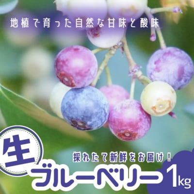 【先行受付】童集乃村ブルーベリー(生果)1kg