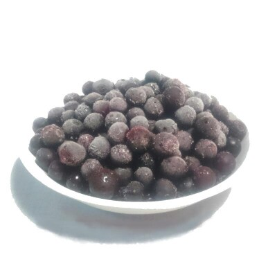 【先行受付】童集乃村ブルーベリー(冷凍)1kg