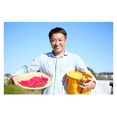 【テレビで紹介されました】熊野唐辛子ギフト7(一味唐辛子(ハバネロ)2本+生唐辛子)