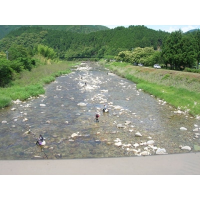 大又川アユ友釣り 年券鑑札 引換券