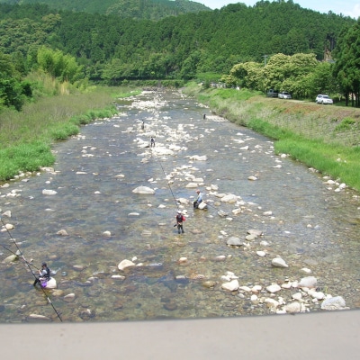 大又川アユ友釣り 年券鑑札 引換券