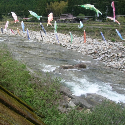 大又川アユ友釣り 年券鑑札 引換券