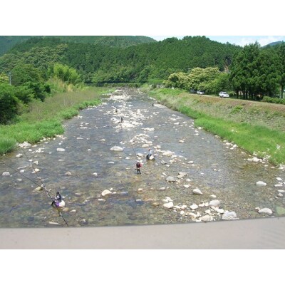 大又川アユ友釣り 一日券鑑札 引換券