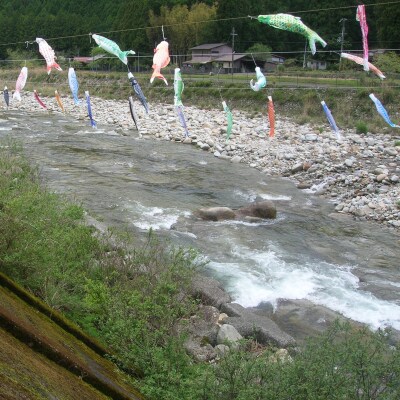 大又川アユ友釣り 一日券鑑札 引換券