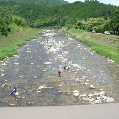 大又川アユ友釣り 一日券鑑札 引換券