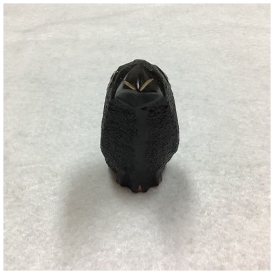 那智黒石のまち熊野【仮谷梅管堂の八咫烏(やたがらす)の置物】