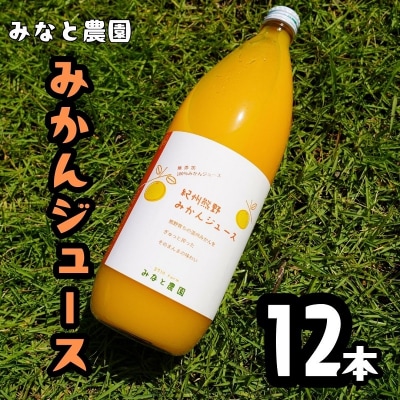 湊農園のみかん搾っただけ!【紀州熊野みかんジュース】1000ml×12本　段ボール箱