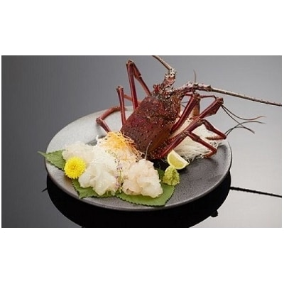 おせち 活き 伊勢海老 約1kg 2 3尾 お礼品詳細 ふるさと納税なら さとふる