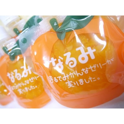 【贅沢みかんゼリーなるみ10個　家庭用化粧箱なし】