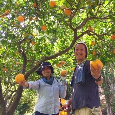 【2026年4月よりお届け!】先行受付【アタシカ果樹】 熊野新鹿産カラマンダリン(3kg)