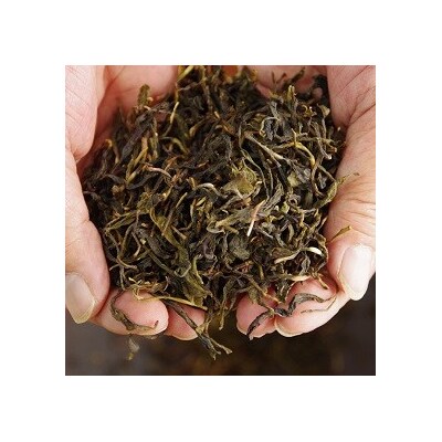 熊野番茶染め　Tシャツ　金茶色(チタン媒染)(Lサイズ)