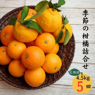 3自然塾　季節の柑橘詰合せ【定期便5回】
