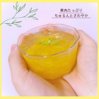 【さわやか甘夏みかんゼリー「なつみ」10個】ご家庭用