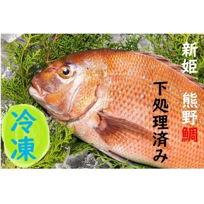 水谷水産 新姫 熊野鯛 下処理済み 冷凍 お礼品詳細 ふるさと納税なら さとふる