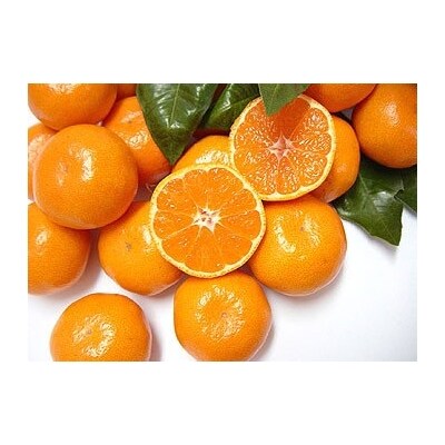 9自然塾　熟成温州みかん箱詰【1回】
