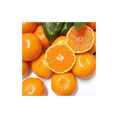 9自然塾　熟成温州みかん箱詰【1回】