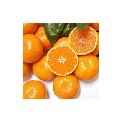 9自然塾　熟成温州みかん箱詰【1回】