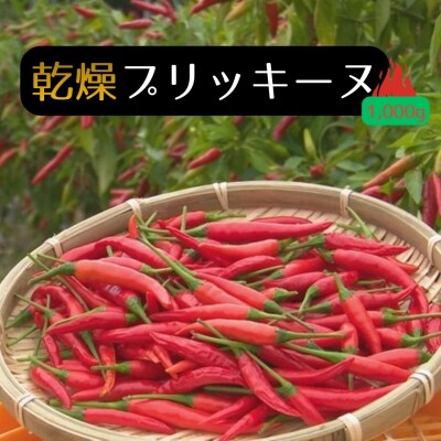 【テレビで紹介されました】【熊野唐辛子】プリッキーヌ(乾燥) 1000g
