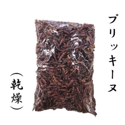 【テレビで紹介されました】【熊野唐辛子】プリッキーヌ(乾燥) 1000g