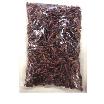 【テレビで紹介されました】【熊野唐辛子】プリッキーヌ(乾燥) 1000g