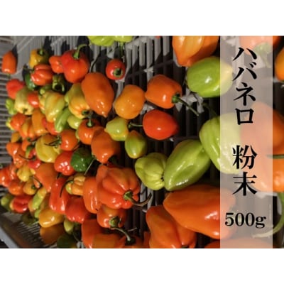 【テレビで紹介されました】【熊野唐辛子】ハバネロ(粉末) 500g