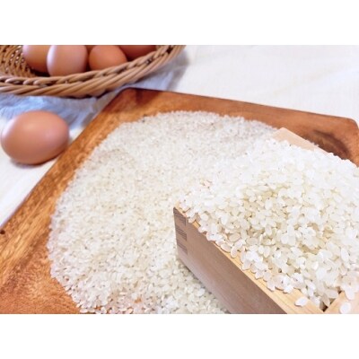 【令和7年☆新米】あそぼ米(こしひかり)10Kg