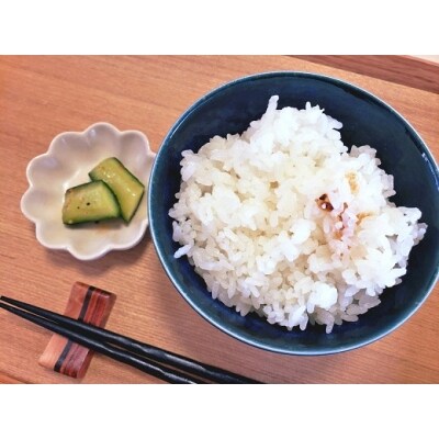 【令和7年☆新米】あそぼ米(こしひかり)10Kg