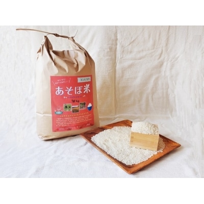 【令和7年☆新米】あそぼ米(こしひかり)5Kg