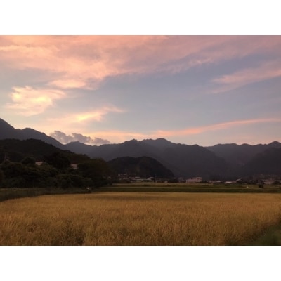 【令和7年☆新米】あそぼ米(こしひかり)5Kg