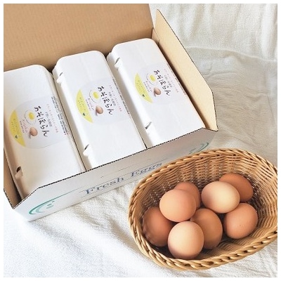 平飼い有精卵(あそぼらん) 30個