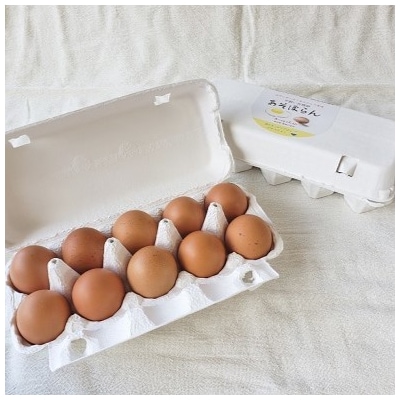 平飼い有精卵(あそぼらん) 30個