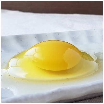 平飼い有精卵(あそぼらん) 60個