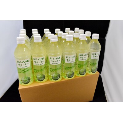 乾いたカラダを潤す♪　にいひめウォーター　510ml×24本入