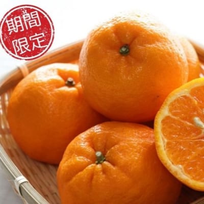 金山パイロットファームの【ポンカン5kg】