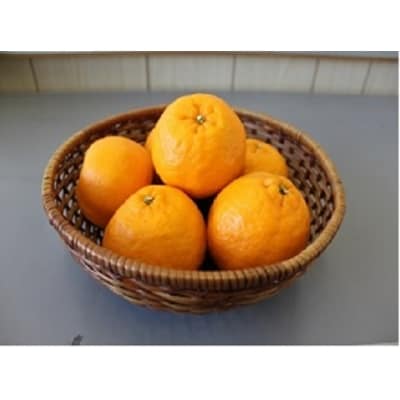 金山パイロットファームの【ポンカン5kg】